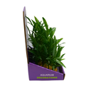 Yusee Aquarium Decoration - Artificial Plant - YS-60118[Length - 15cm]