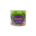 Yusee Aquarium Decorations - Artificial Plant YS-70514-4 [Height:4"]
