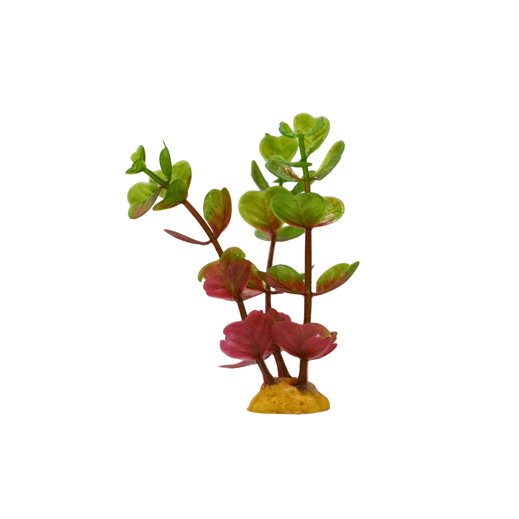 Yusee Aquarium Decorations - Artificial Plant YS-70503-4 [Height:4"]