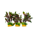 Yusee Aquarium Decorations - Artificial Plant YS-70101-4 [Height:4"]
