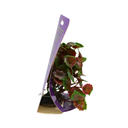 Yusee Aquarium Decorations - Artificial Plant YS-92105 [Height:10-12cm]