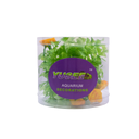 Yusee Aquarium Decorations - Artificial Plant YS-70533-4 [Height:4"]