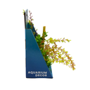 Yusee Aquarium Decorations - Artificial Plant YS-60512 [Height:20cm]