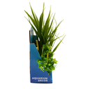 Yusee Aquarium Decorations - Artificial Plant YS-60509 [Height:20cm]