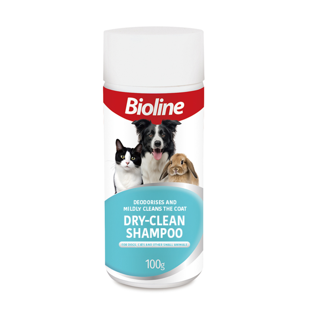 Boline Dry Clean Shampoo 100g[Weight - 100g]