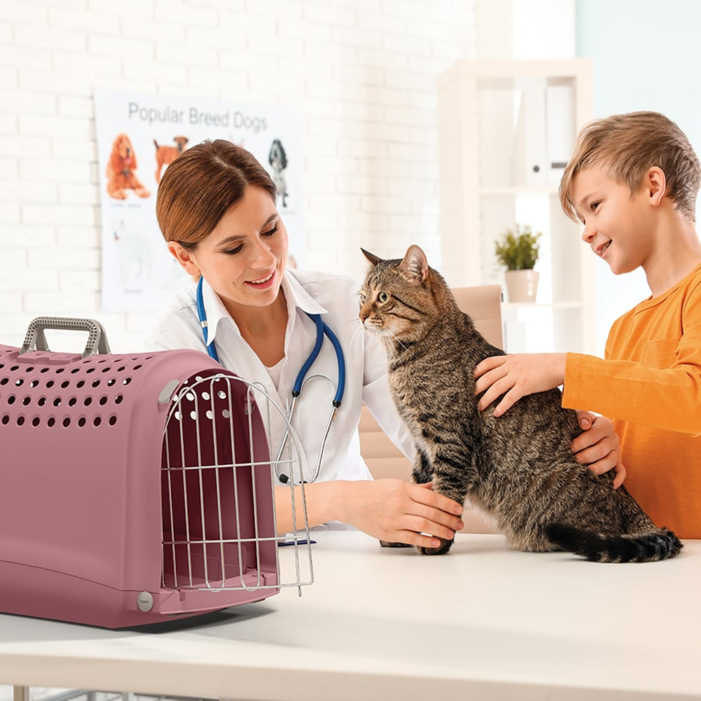 IMAC Linus Carrier for Cats and Dogs - Second Life Plastic - 50 x 32 x 34.5cm[Color - Mixed Colours]