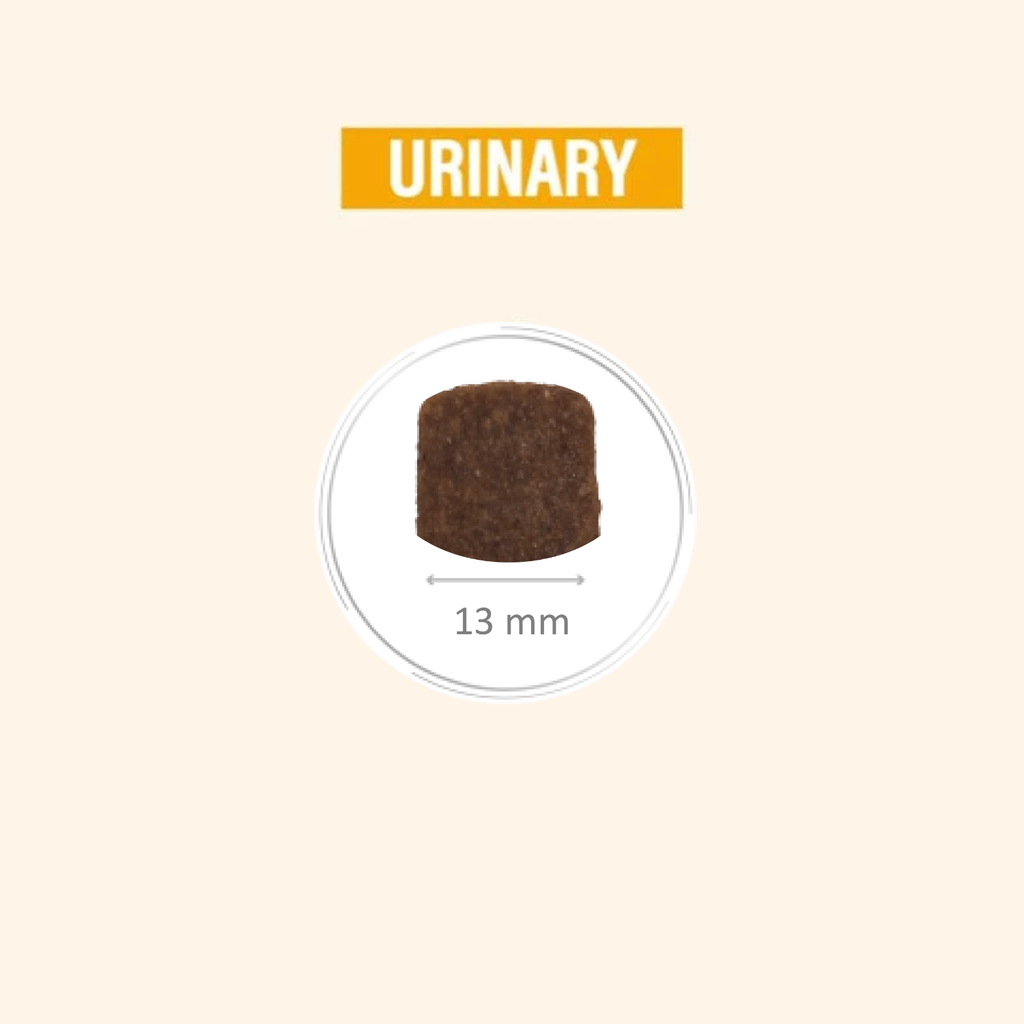 Pro nutrition Protect Urinary-Dog Food For Adult All Sizes 2kg  