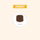 Pro nutrition Protect Urinary-Dog Food For Adult All Sizes 2kg  