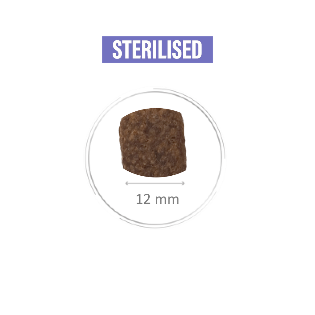 Pro nutrition Protect Sterlised-Dog Food For Adult All Sizes 2kg  