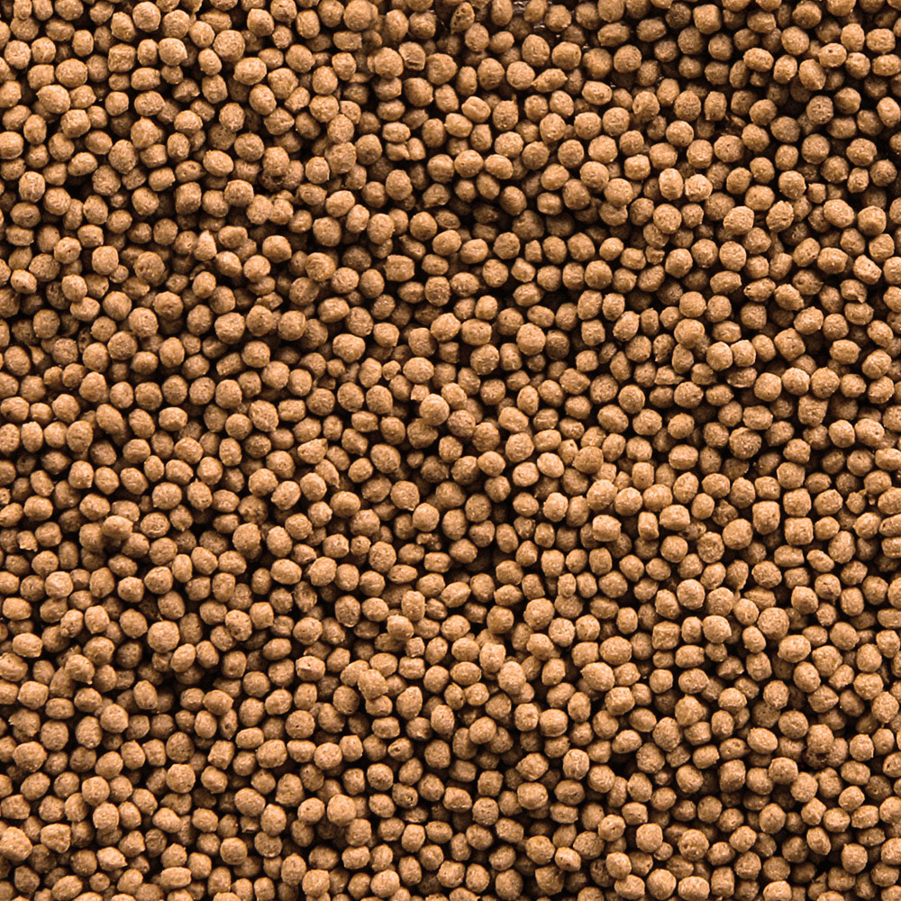 Sera Gold Fish Granules -100ml(30g)