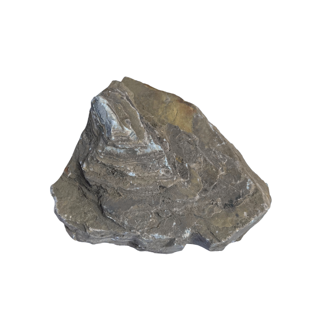 Karis Red Thousand Fossils Rock Small (Per Kg) | SMBG B2B Website