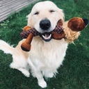 Duvo Zoo friends Leo lion stick Brown 32x22x11.5cm  