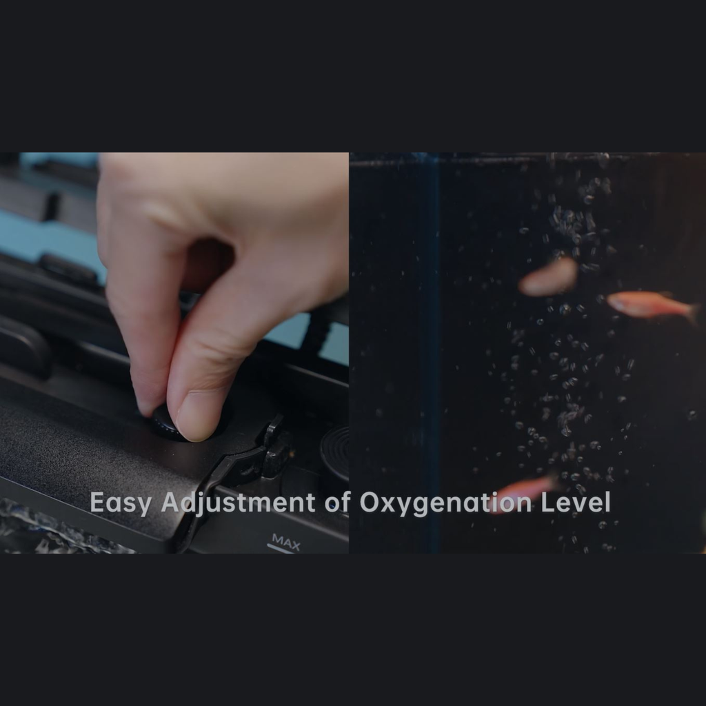 Pawgether Cooke 1s Smart Aquarium With Feeder CK 1S [Wifi Version]-45.4x26.3x35.3cm [30Litre]