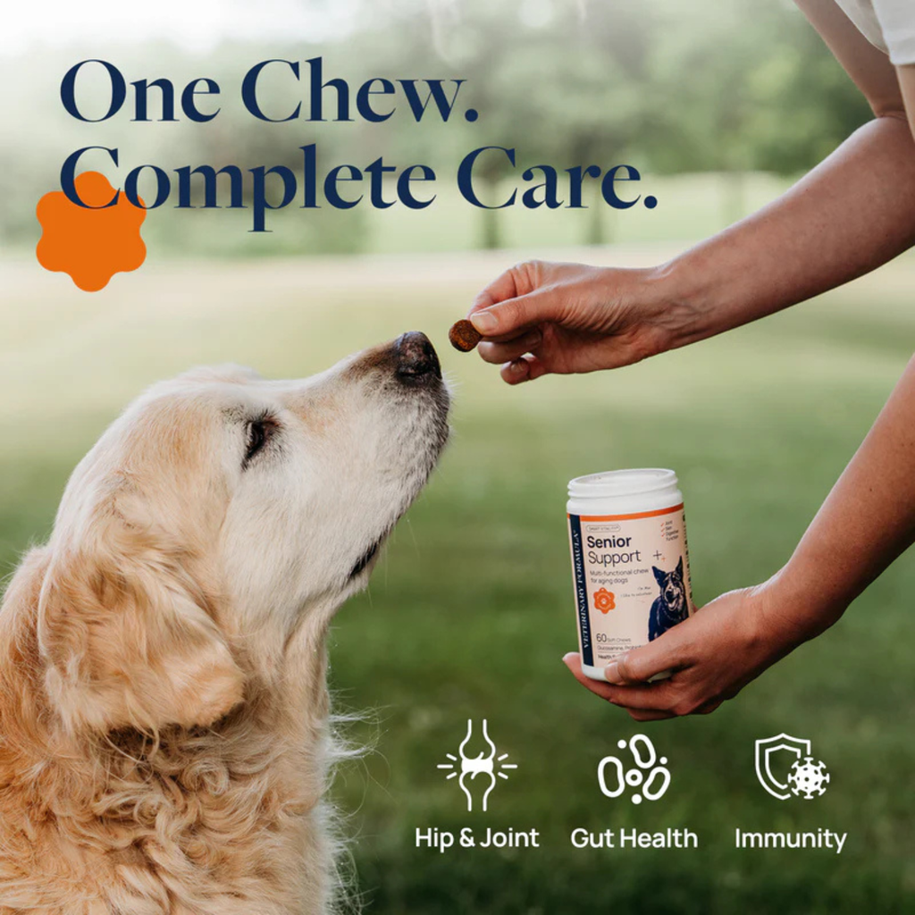 Synergy Labs Veterinary Formula Smart Vitality Senior Support Supplement For Dog  – 180g [Count - 60] 