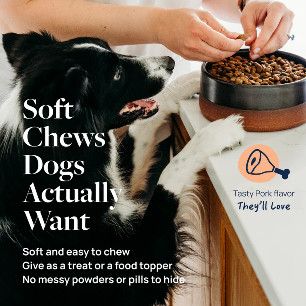 Synergy Labs Veterinary Formula Smart Vitality Senior Support Supplement For Dog  – 180g [Count - 60] 