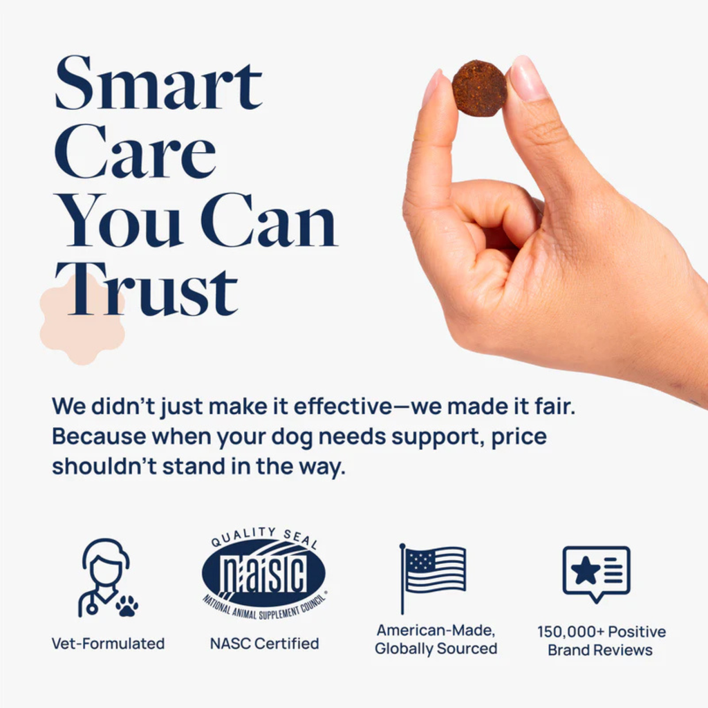 Synergy Labs Veterinary Formula Smart Vitality Senior Support Supplement For Dog  – 180g [Count - 60] 