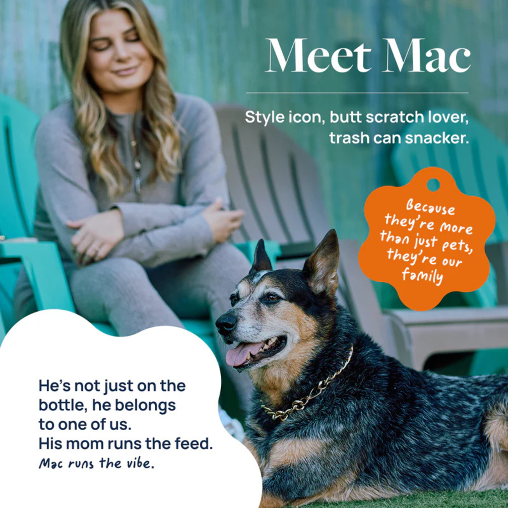 Synergy Labs Veterinary Formula Smart Vitality Senior Support Supplement For Dog  – 180g [Count - 60] 