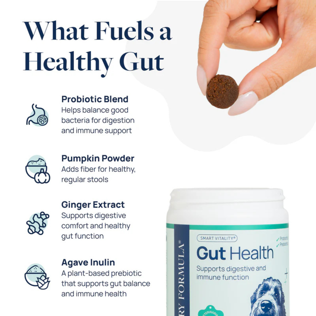 Synergy Labs Veterinary Formula Gut Health Formulated Probiotic Chews Supplement for Dogs – 225g [Count - 60]