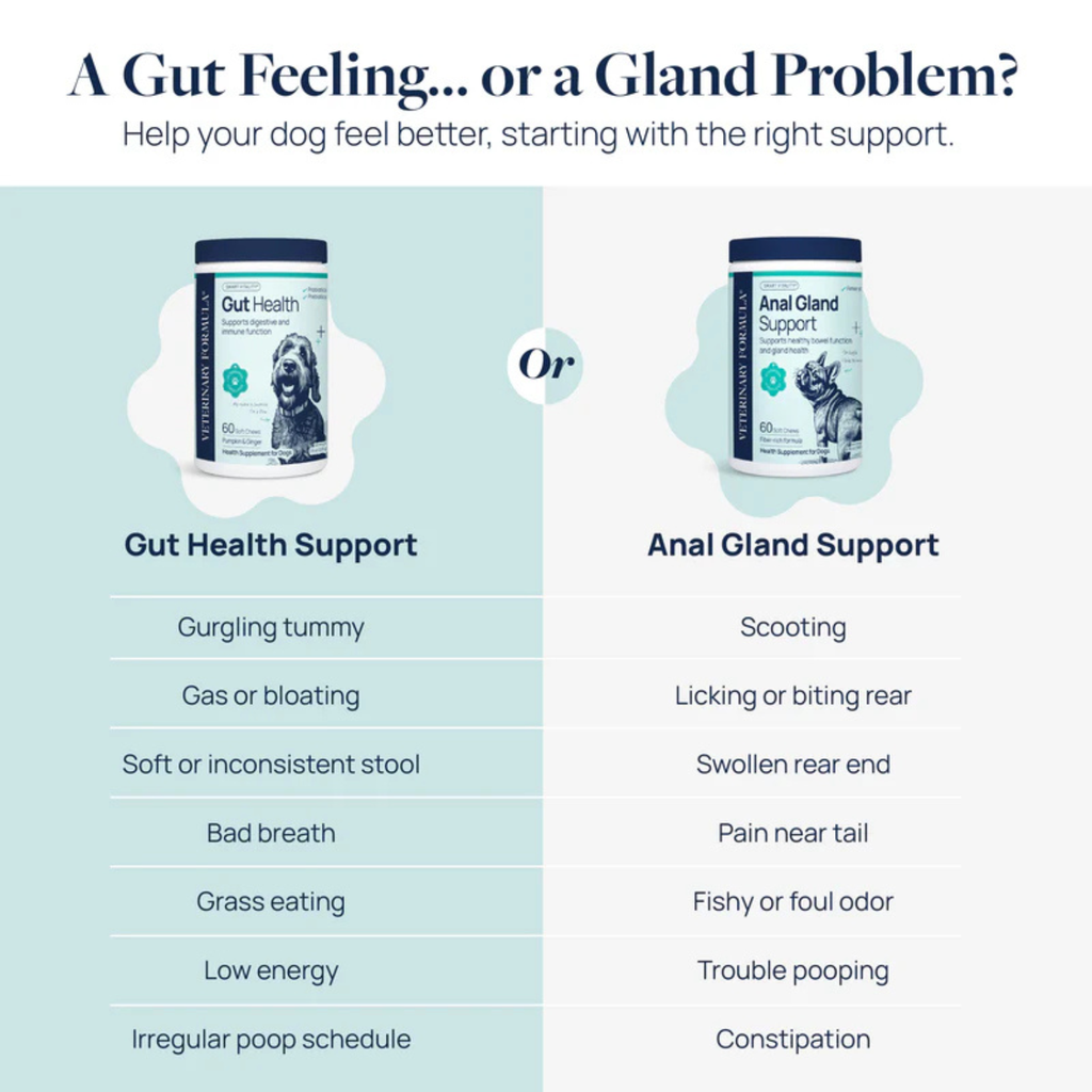 Synergy Labs Veterinary Formula Gut Health Formulated Probiotic Chews Supplement for Dogs – 225g [Count - 60]