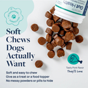 Synergy Labs Veterinary Formula Gut Health Formulated Probiotic Chews Supplement for Dogs – 225g [Count - 60]