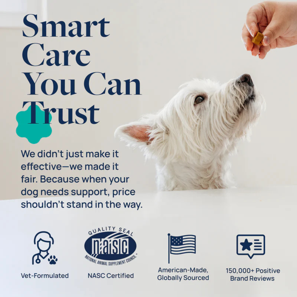 Synergy Labs Veterinary Formula Gut Health Formulated Probiotic Chews Supplement for Dogs – 225g [Count - 60]