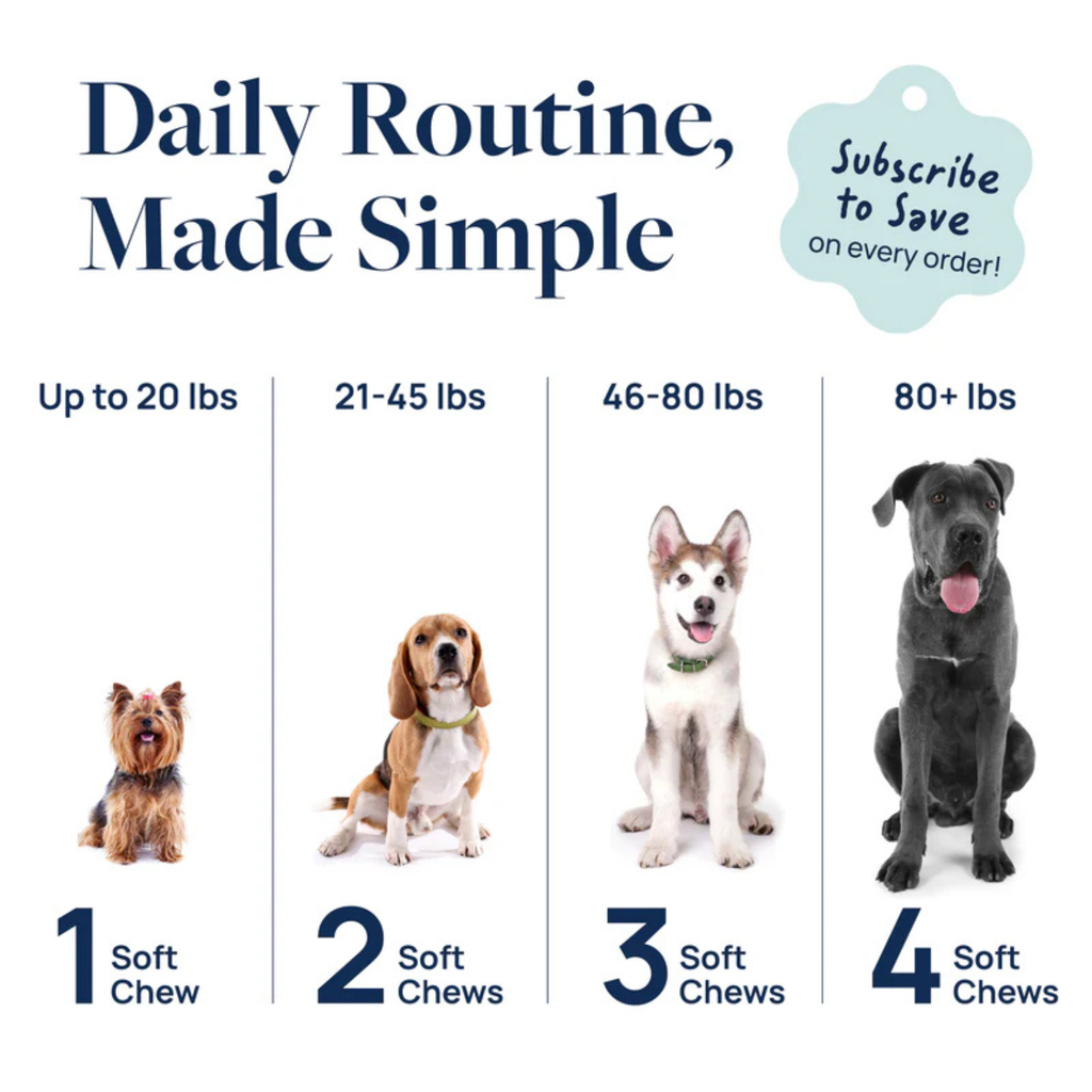 Synergy Labs Veterinary Formula Gut Health Formulated Probiotic Chews Supplement for Dogs – 225g [Count - 60]