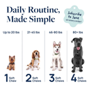 Synergy Labs Veterinary Formula Gut Health Formulated Probiotic Chews Supplement for Dogs – 225g [Count - 60]