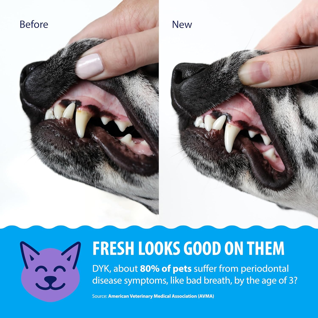 Synergy Labs Dental Fresh Plaque & Tartar Control Water Additive for Dogs & Cats 503ml[Volume - 503ml] 