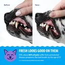 Synergy Labs Dental Fresh Plaque & Tartar Control Water Additive for Dogs & Cats 503ml[Volume - 503ml] 