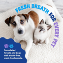 Synergy Labs Dental Fresh Plaque & Tartar Control Water Additive for Dogs & Cats 503ml[Volume - 503ml] 