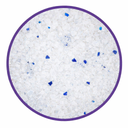Pado Silica Crystal Cat Litter 30L - Baby Powder
