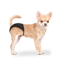 Duvo+ Dog Pants 18-23Cm