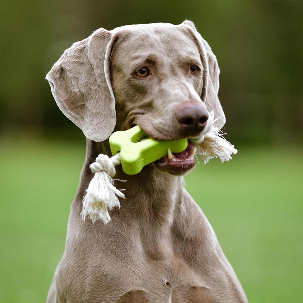 Duvo+ Eco Rubber Flat Bone Bamboo/Rice + Cotton 27x6.5x3.8 Cm Mixed Colors