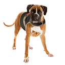 Duvo+ Safety Jacket Fluo Flash Large Black