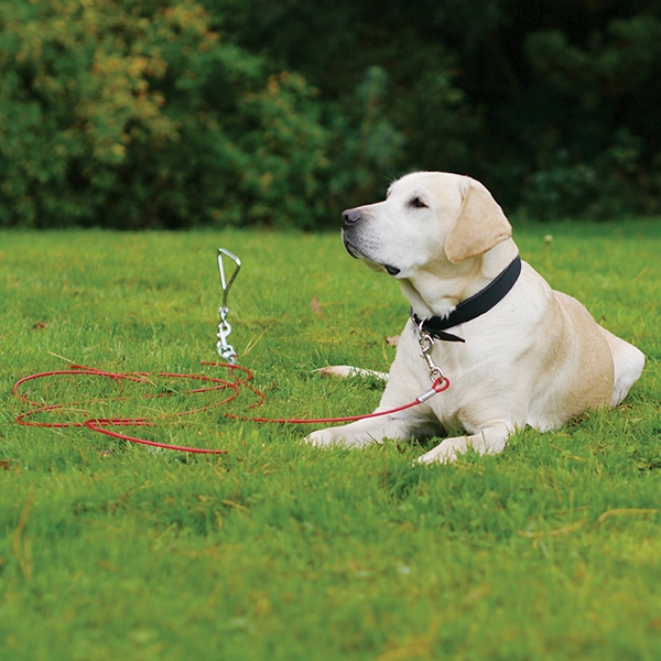 Duvo+ Tie Out Stake 40cm