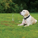 Duvo+ Tie Out Stake 40cm