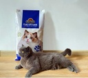 Kitty Choice Pure Natural Bentonite Cat Litter Mixed Fragrance , 20kg[Weight - 20kg]