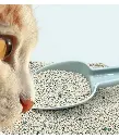 Kitty Choice Pure Natural Bentonite Cat Litter Mixed Fragrance , 20kg[Weight - 20kg]