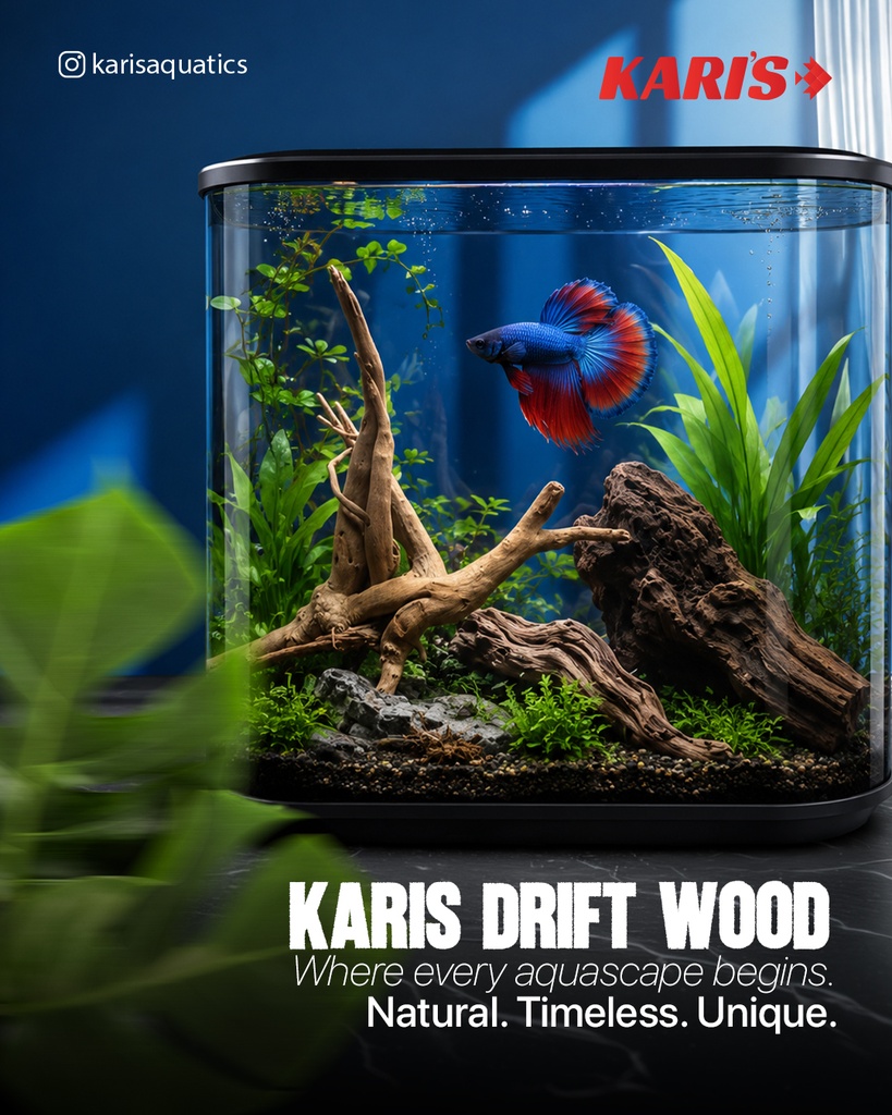 Karis Aqua Root Drift Wood-Small & Large-5kg
