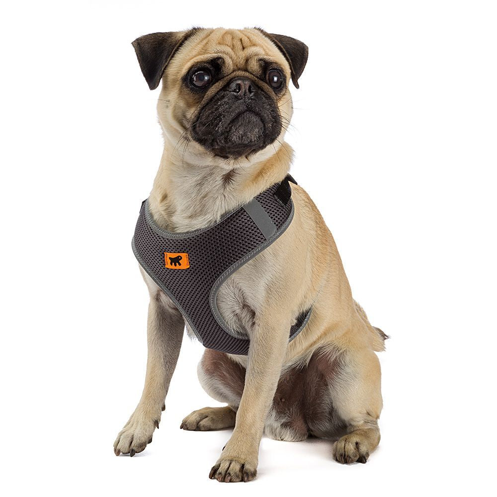 Ferplast Nikita PM Technical Harness In Breathable Nylon[Color - Black, Dimension - 19-26 x 28-40cm x 10mm, Size - XS]