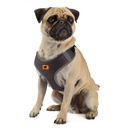 Ferplast Nikita PM Technical Harness In Breathable Nylon[Color - Black, Dimension - 19-26 x 28-40cm x 10mm, Size - XS]