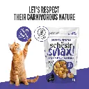 Schesir Snax! Crunchy & Creamy Dog Snack 60g-Beef
