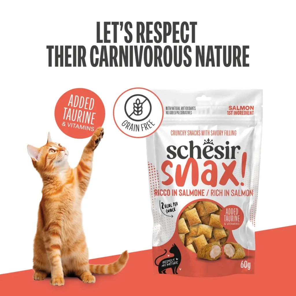 Schesir Snax! Crunchy & Creamy Dog Snack 60g-Salmon