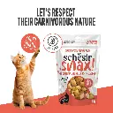 Schesir Snax! Crunchy & Creamy Dog Snack 60g-Salmon