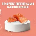 Schesir Snax! Crunchy & Creamy Dog Snack 60g-Salmon