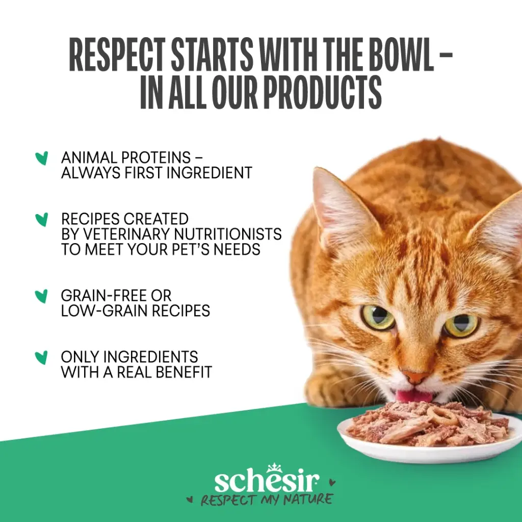Schesir Snax! Crunchy & Creamy Dog Snack 60g-Salmon