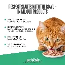 Schesir Snax! Crunchy & Creamy Dog Snack 60g-Salmon