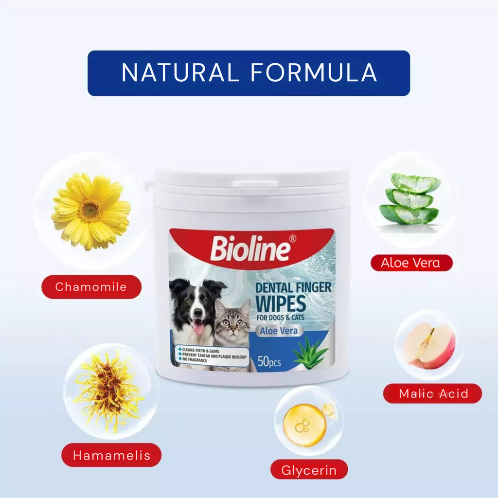 Bioline Dental Finger Wipes For Dogs & Cats (50pcs)