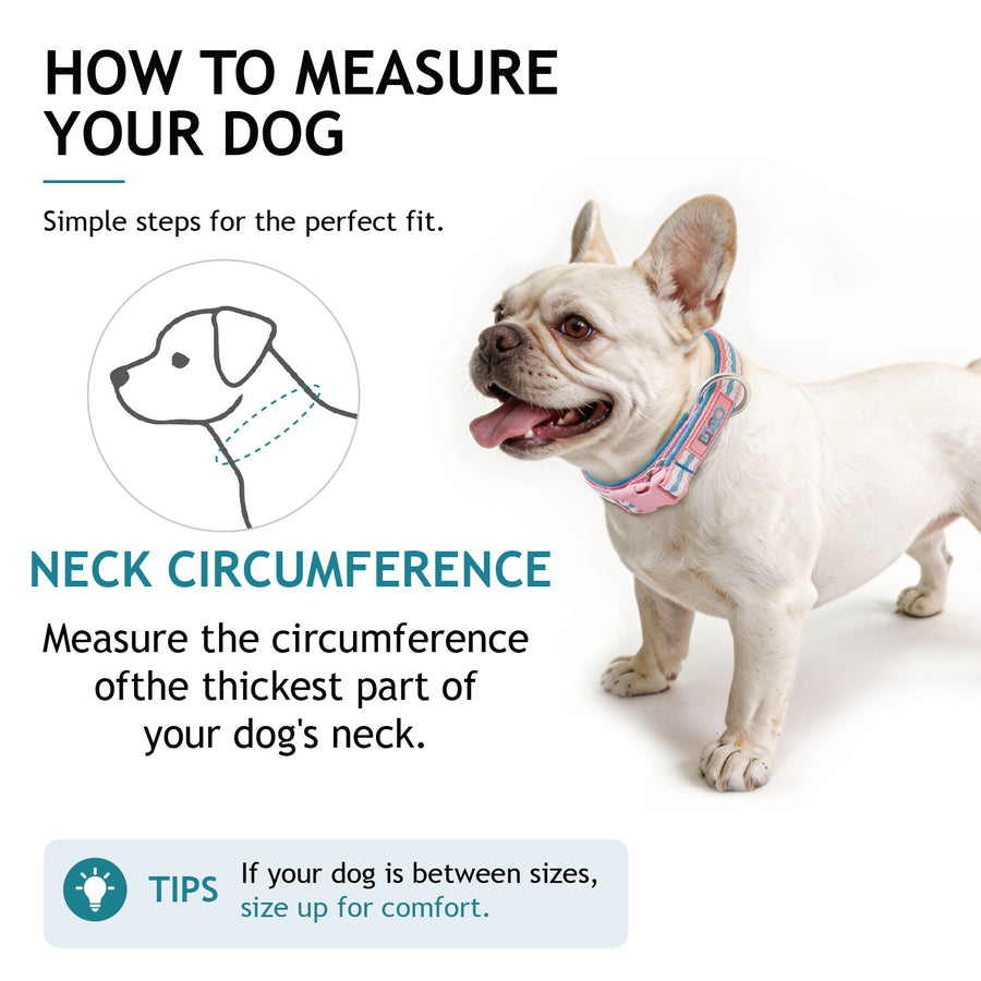 DOCO® Ultra-light Mesh Jacquard Collar-1.5 x 25-35cm [Size-XS] 