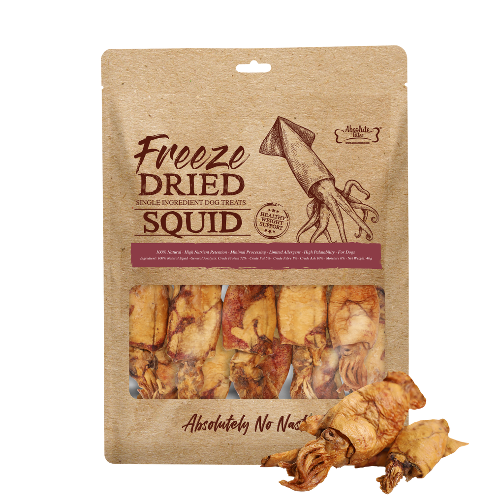 Absolute Bites Freeze Dried Dog Treats - Squid 40g